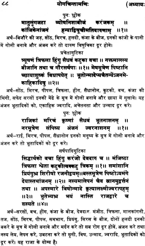 Yoga Chintamani - Retail Maharaj