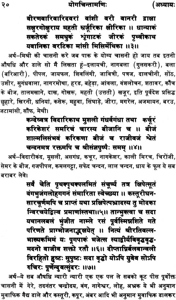 Yoga Chintamani - Retail Maharaj