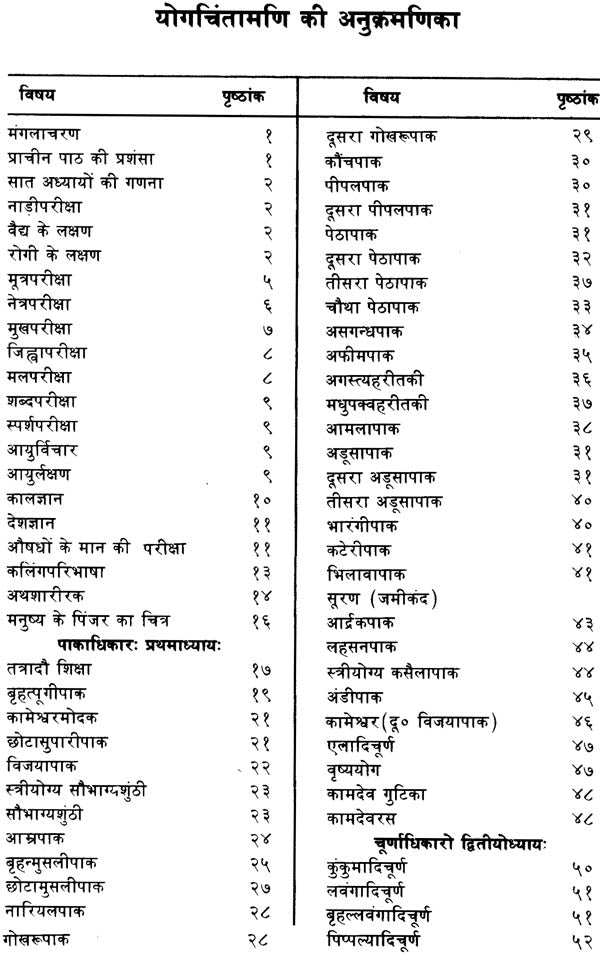 Yoga Chintamani - Retail Maharaj