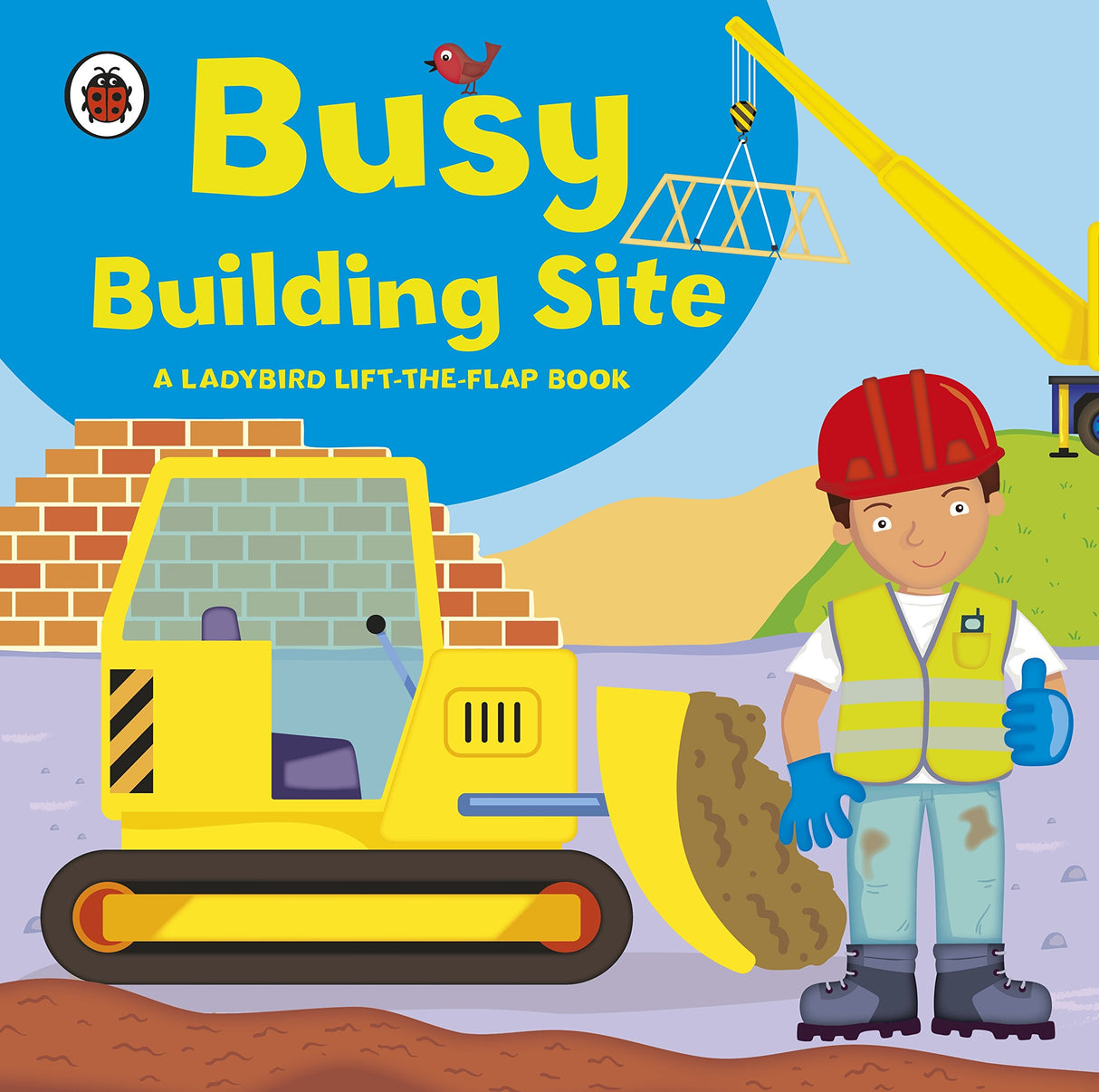 Ladybird lift-the-flap book : Busy Build - Retail Maharaj