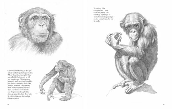 Approach to Drawing Animals Step by Step Guide for Artists by Gopal Nandurkar - Retail Maharaj