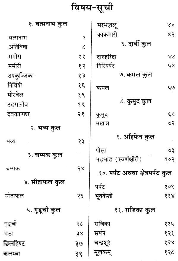 द्रव्य-गुण-मञ्जूषा - Dravya Guna Manjusha - Retail Maharaj