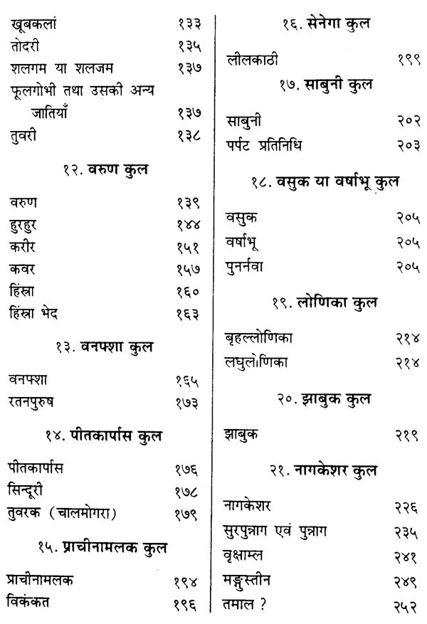 द्रव्य-गुण-मञ्जूषा - Dravya Guna Manjusha - Retail Maharaj