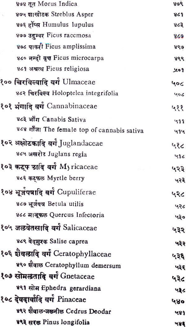 निघण्टु आदर्श: Nighantu Adarsha (Volume-2) - Retail Maharaj