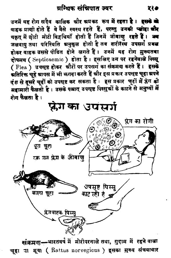 औपसर्गिक रोग - Infectious Diseases (Set of 2 Volumes) - Retail Maharaj