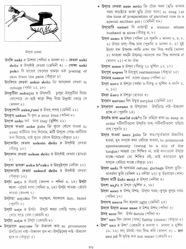 A Dictionary of Dialectal Bengali Language (Set of Five Volumes)
