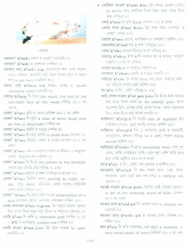 A Dictionary of Dialectal Bengali Language (Set of Five Volumes)