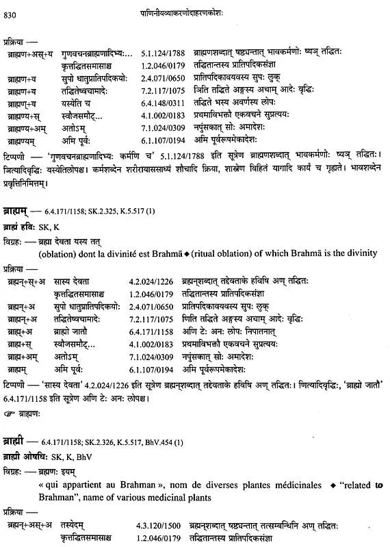 Paninian Grammar Through its Examples - The Book of Secondary Derivatives IV-II Volume - Retail Maharaj