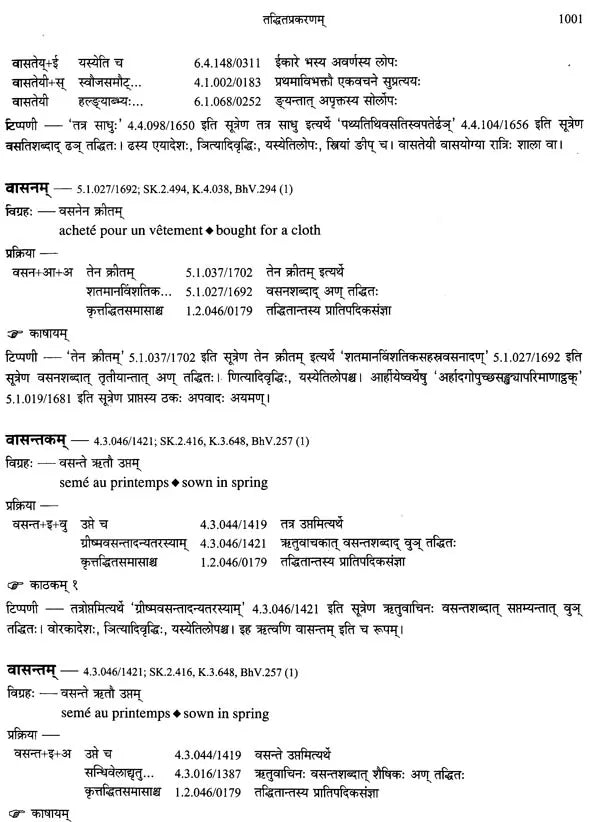 Paninian Grammar Through its Examples - The Book of Secondary Derivatives IV-II Volume - Retail Maharaj