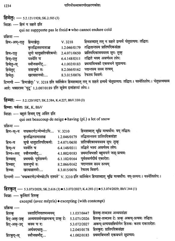 Paninian Grammar Through its Examples - The Book of Secondary Derivatives IV-II Volume - Retail Maharaj