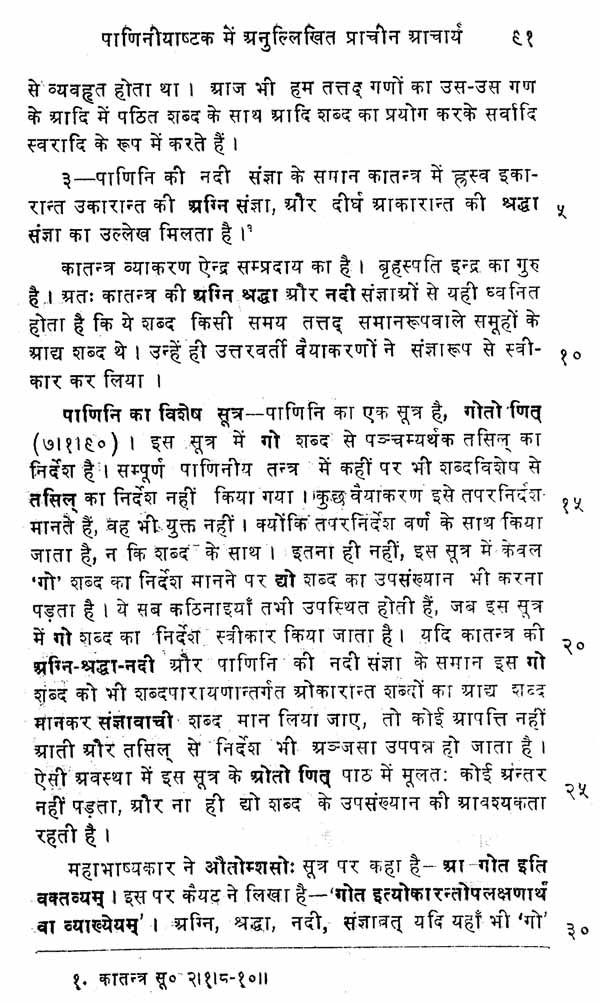 History of Sanskrit Grammar – Literature (Set of 2 Volumes) - Retail Maharaj