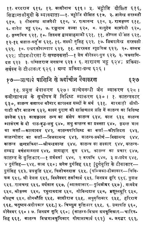 History of Sanskrit Grammar – Literature (Set of 2 Volumes) - Retail Maharaj