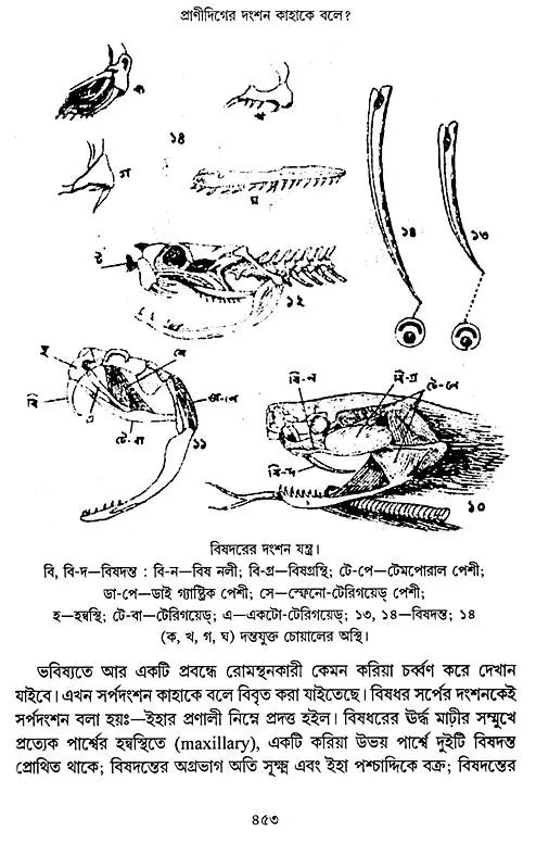 Acharya Prafula Chandra Roy (Compilation of Essays Volume 5 in Bengali)