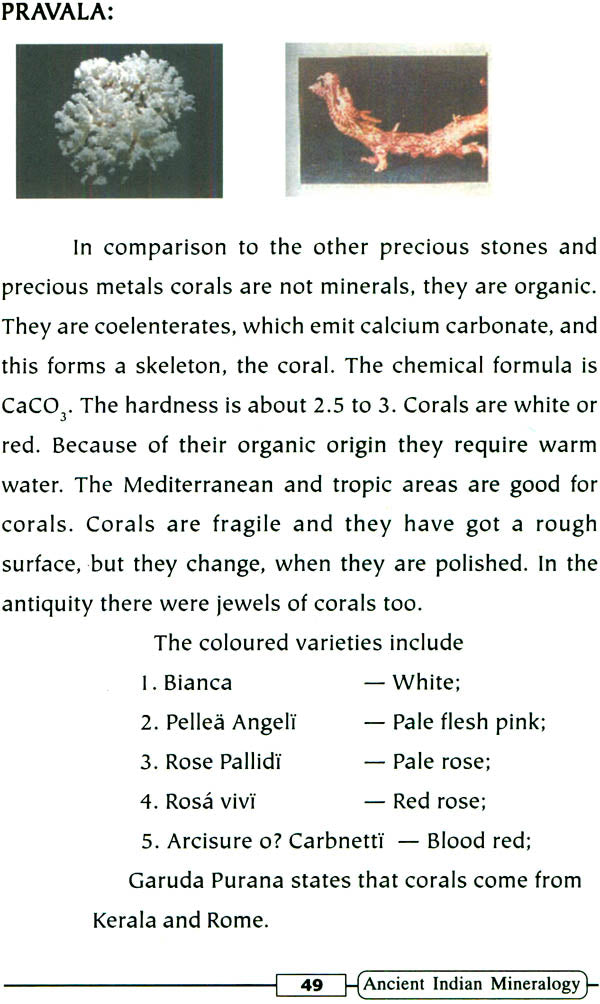 Mineralogical Traditions in Sanskrit Literature Sanskrit Science Series 8 Ancient Indian Mineralogy No 1 - Retail Maharaj