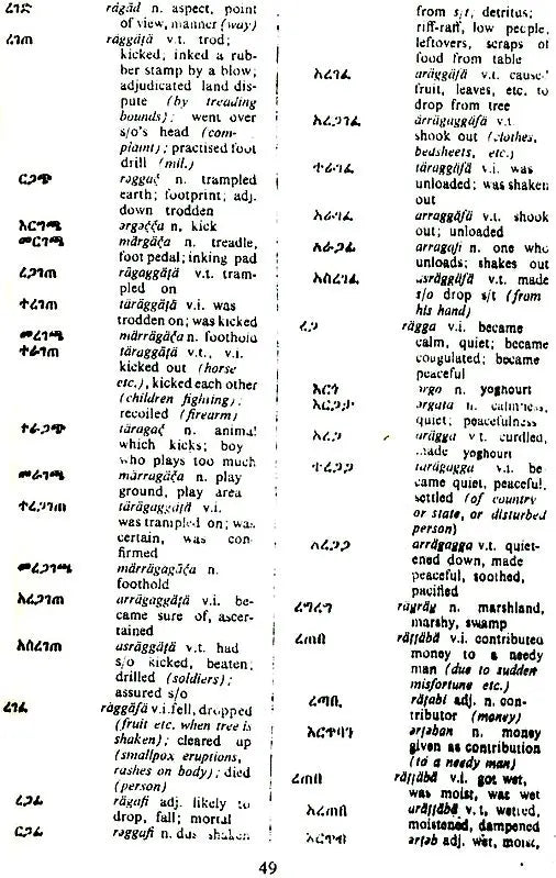Amharic-English English-Amharic Dictionary - Retail Maharaj