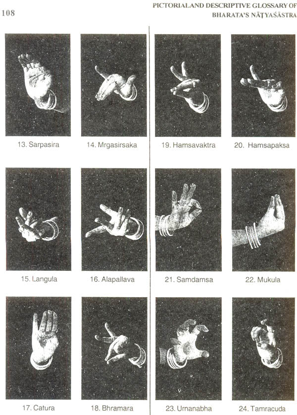 Pictorial & Descriptive Glossary of Bharata’s Natyasastra (A Student's Companion) - Retail Maharaj