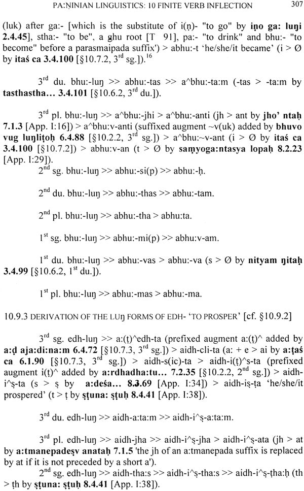 Paṇinian Linguistics - Retail Maharaj
