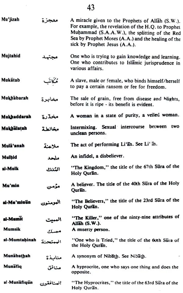 A Concise Dictionary of Islamic Terms - Retail Maharaj