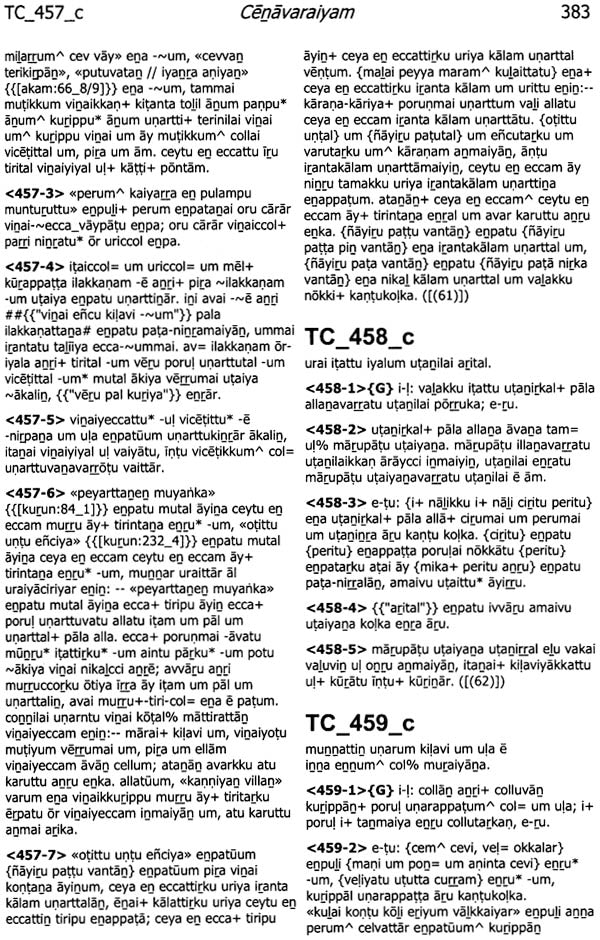 Companion Volume to the Cenavaraiyam on Tamil Morphology and Syntax - Retail Maharaj
