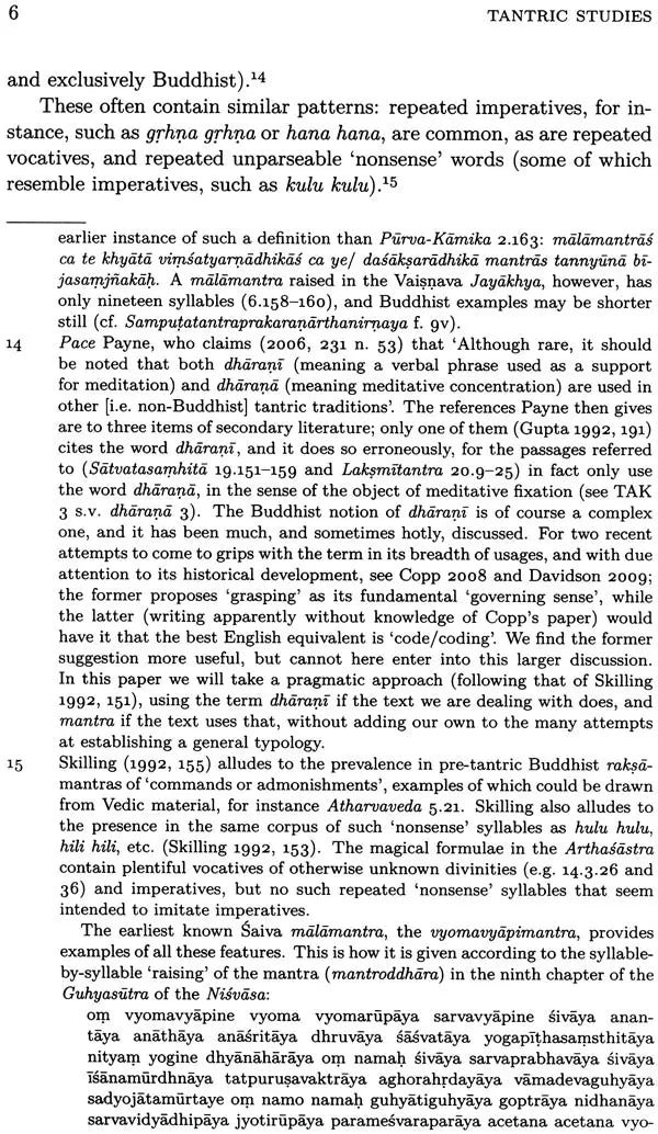 Tantric Studies (Fruits of a Franco-German Project on Early Tantra) - Retail Maharaj