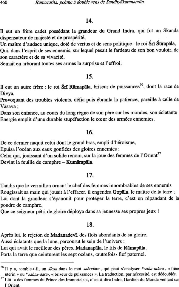La Geste De Rama: Poème à Double Sens de Sandhyakaranandin - Retail Maharaj