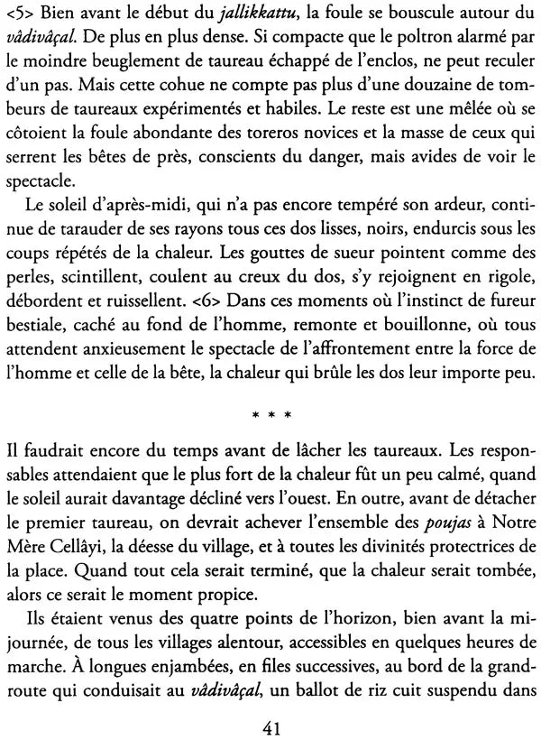 Vadivacal (Des Taureaux Et Des Hommes En Pays Tamoul) - Retail Maharaj