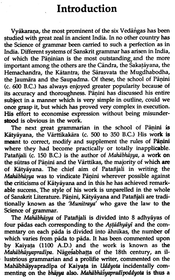 Nagesha and the Mahabhashya - Retail Maharaj