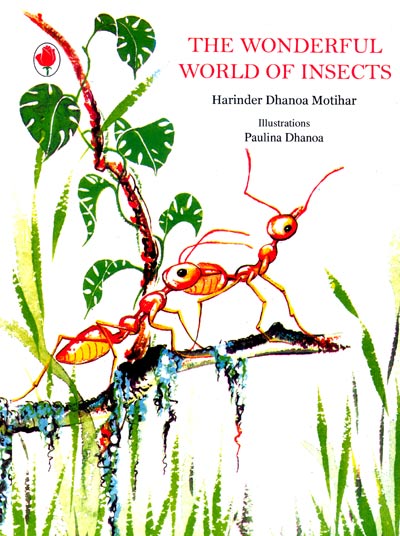 The Wonderful World of Insects - Retail Maharaj