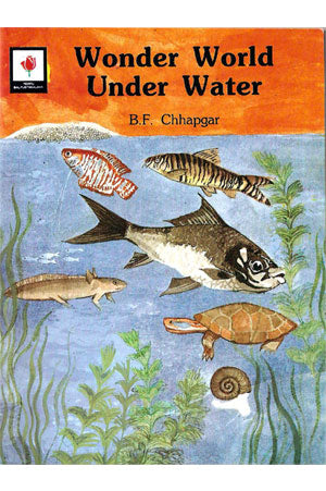 Wonder World Under Water - Retail Maharaj