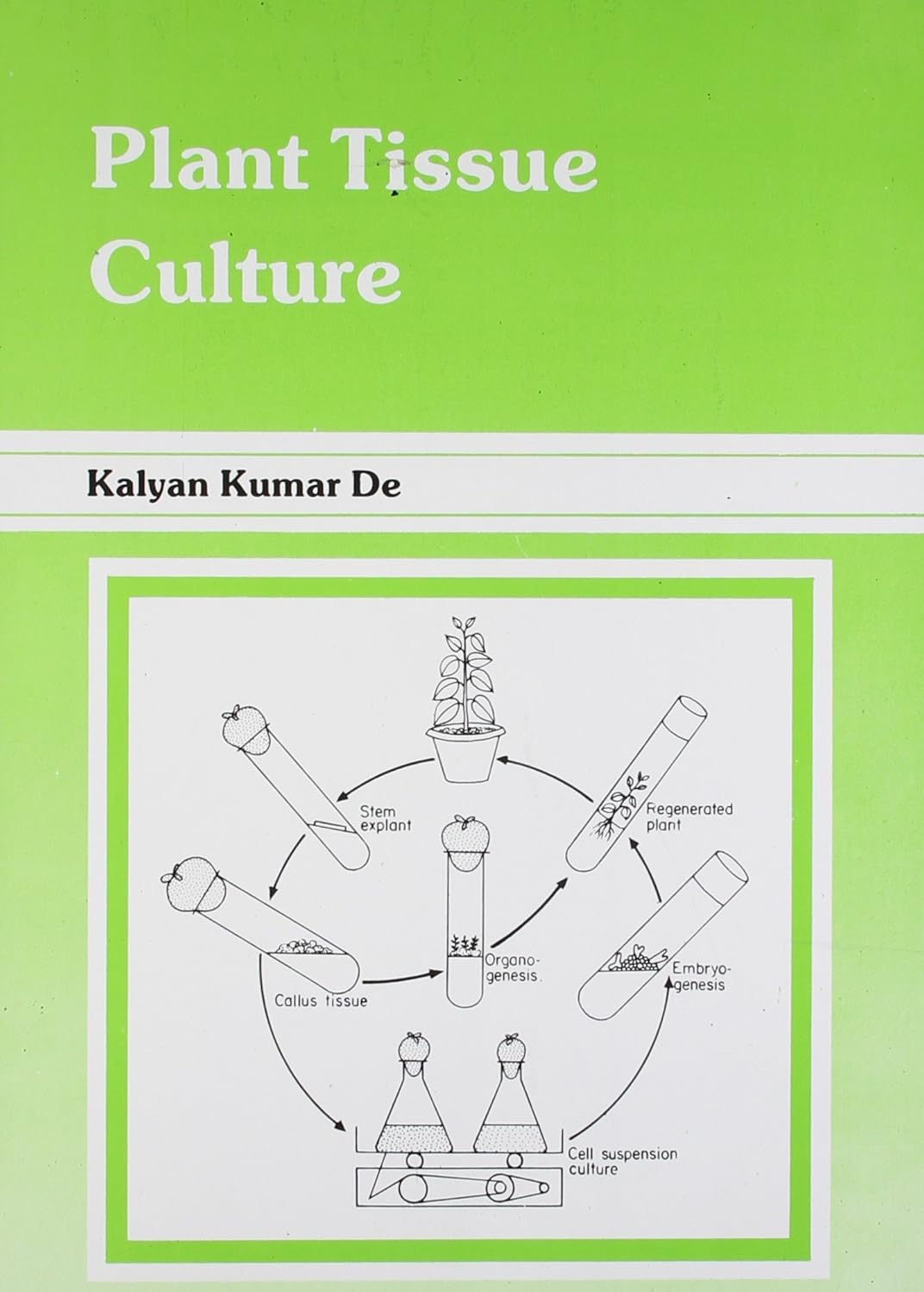 Plant Tissue Culture - Retail Maharaj