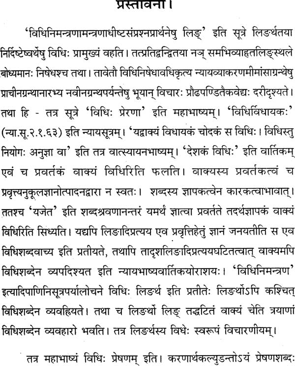The Meaning of Vidhi and Nishedha (Dharmasastra) - Retail Maharaj
