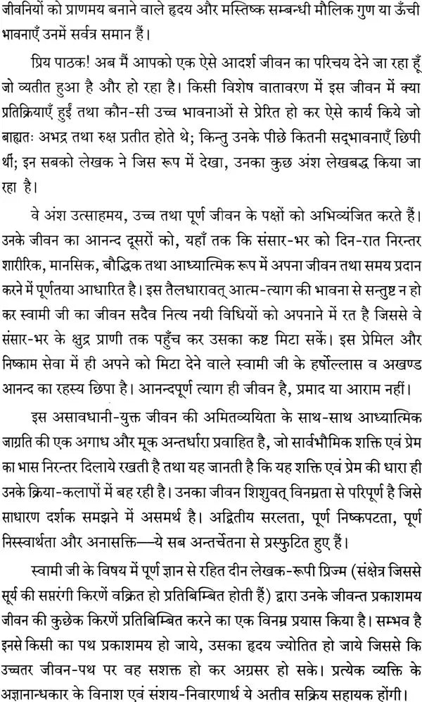 Fountain of Light - Retail Maharaj