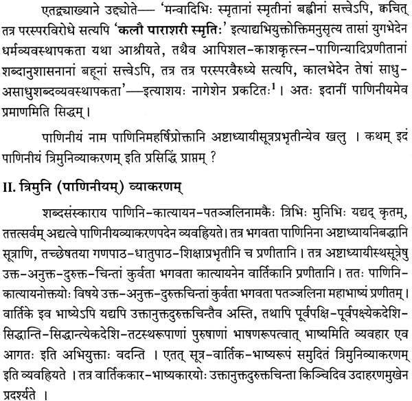 A Special Study of Taddhit in Panini - Retail Maharaj