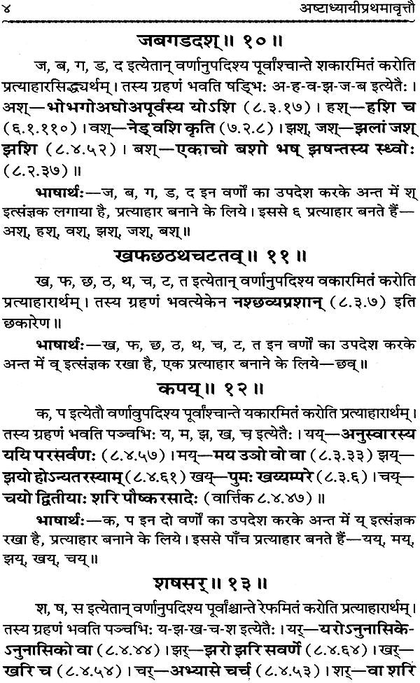 Astadhyayi Bhashya (Set of 3 Volumes) - Retail Maharaj