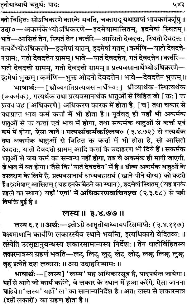 Astadhyayi Bhashya (Set of 3 Volumes) - Retail Maharaj
