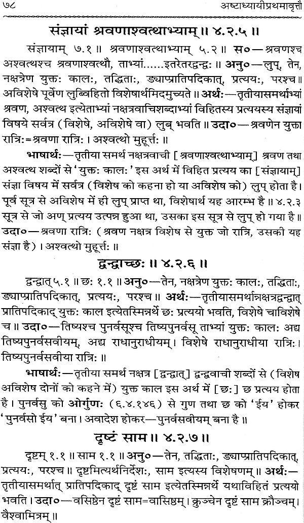 Astadhyayi Bhashya (Set of 3 Volumes) - Retail Maharaj