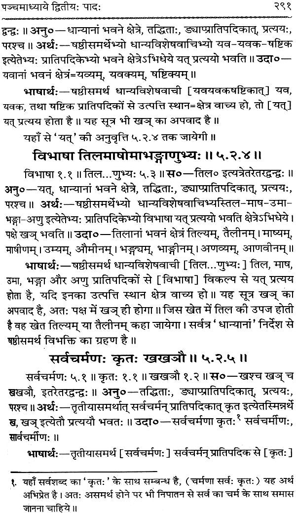 Astadhyayi Bhashya (Set of 3 Volumes) - Retail Maharaj