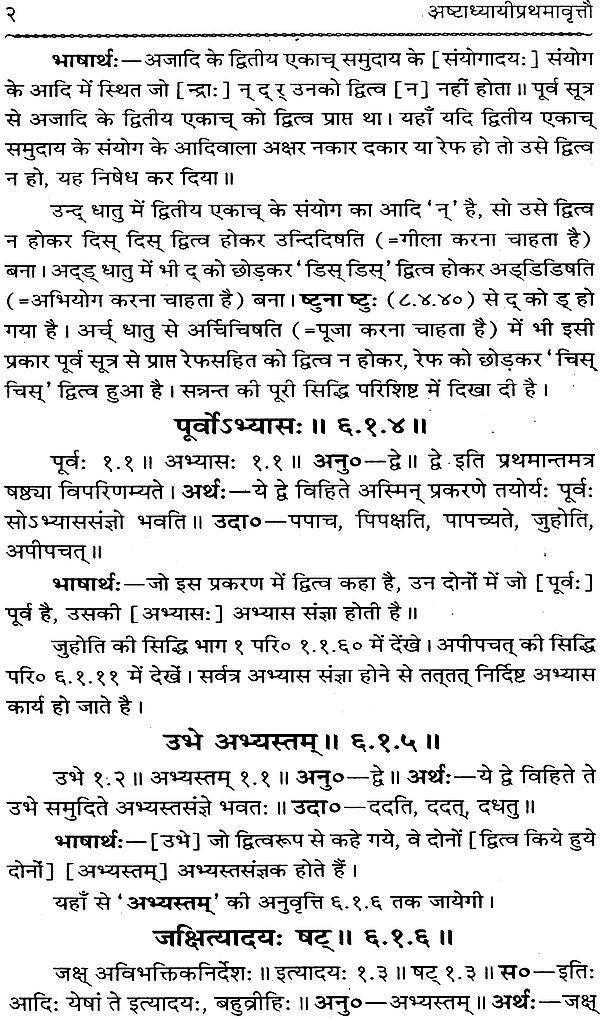 Astadhyayi Bhashya (Set of 3 Volumes) - Retail Maharaj