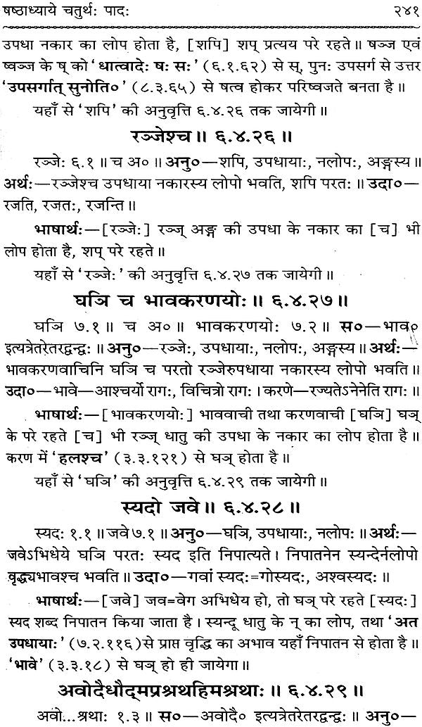 Astadhyayi Bhashya (Set of 3 Volumes) - Retail Maharaj