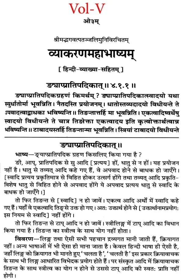 Mahabhashya With Explanation In Hindi (Set of 10 Books) - Retail Maharaj