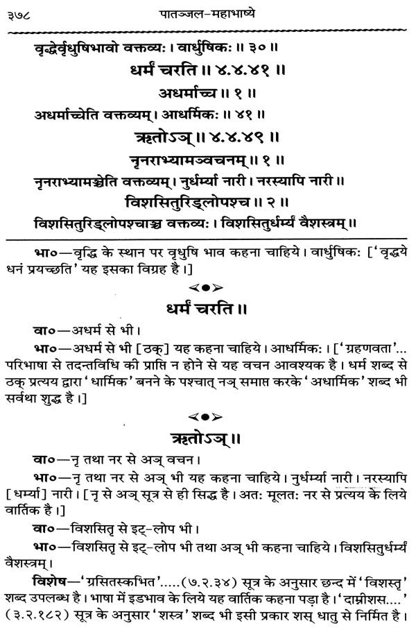 Mahabhashya With Explanation In Hindi (Set of 10 Books) - Retail Maharaj