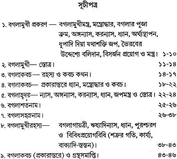 Baglamukhi Tantram - Retail Maharaj