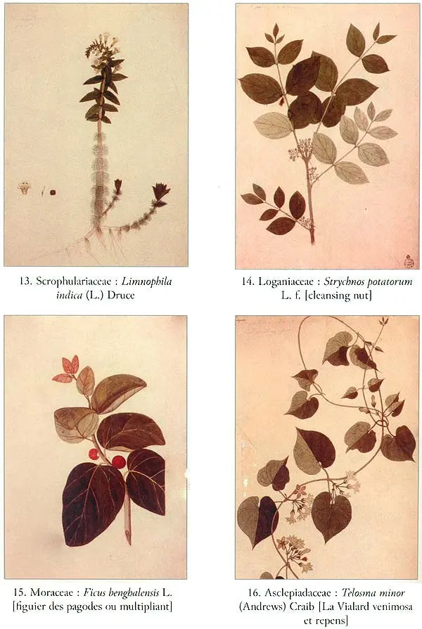 Nouveau Voyage Aux Indes Orientales (1786–1813) - Retail Maharaj