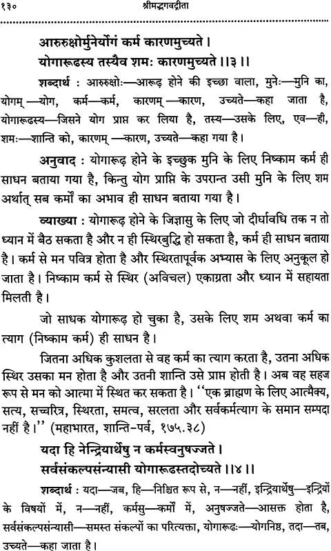 Srimad Bhagavad Gita With Word-to-Word Meaning Hindi Translation - Retail Maharaj