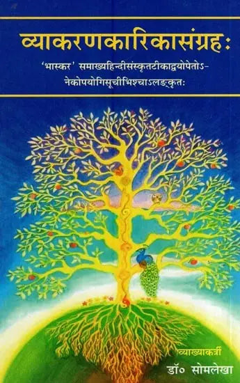 Vyakarana Karika Sangrah - Retail Maharaj