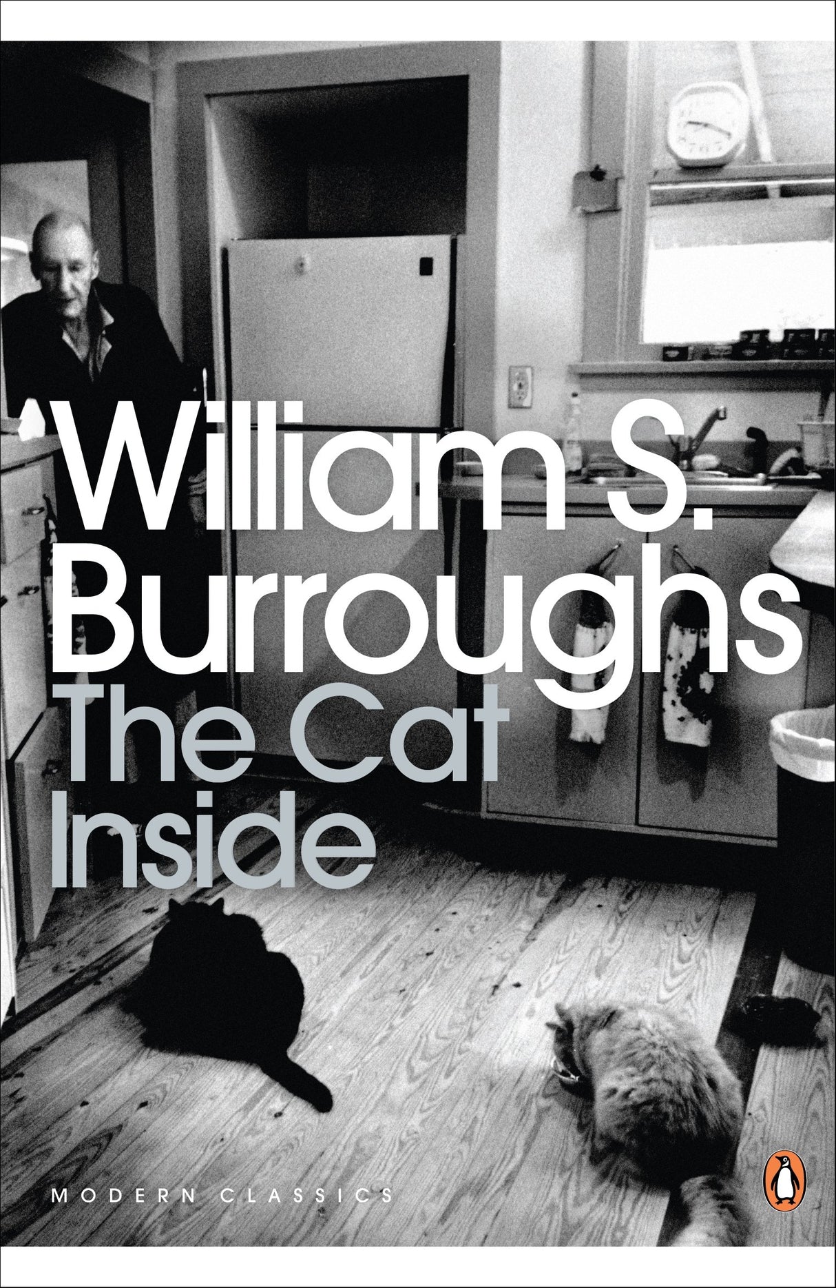 Cat Inside, The (Penguin Modern Classics - Retail Maharaj
