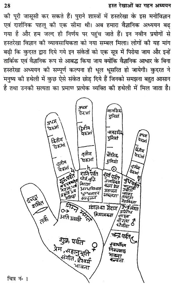 हस्त रेखाओं का गहन अध्ययन- Study of Palm Lines - Retail Maharaj