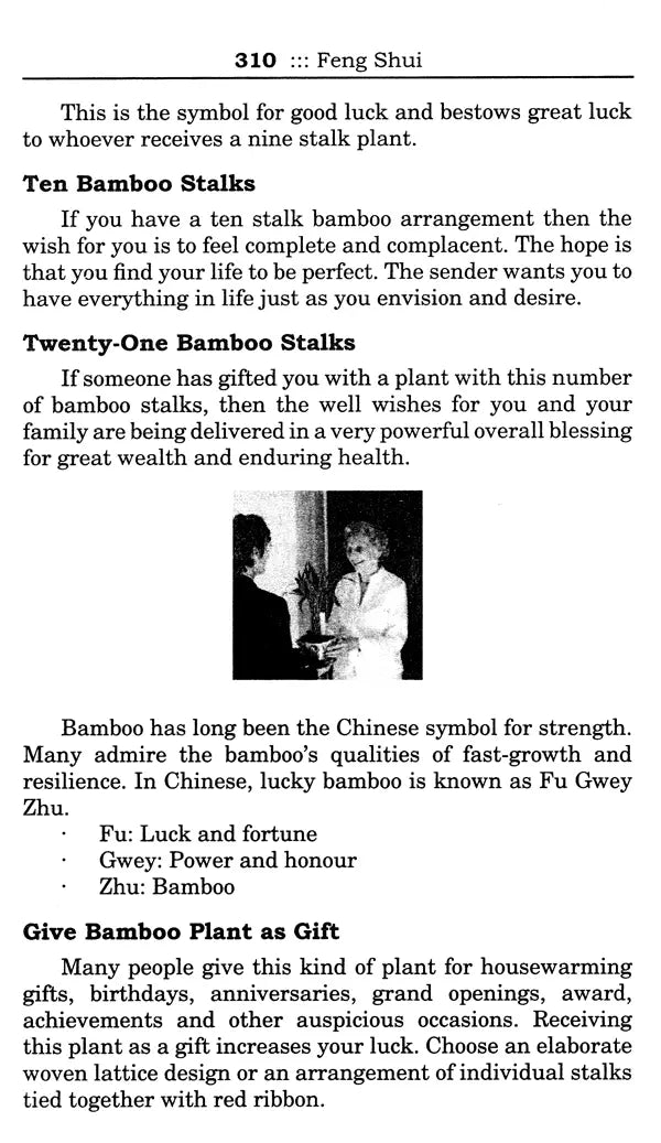 Comprehensive Feng Shui (Set of 2 Volumes) - Retail Maharaj