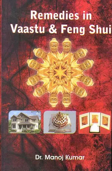 Remedies in Vaastu & Feng Shui - Retail Maharaj