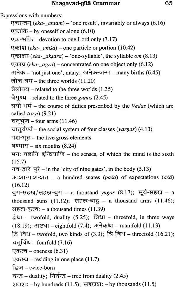 Sanskrit Bhagavad Gita Grammar (Set of 3 Volumes) - Retail Maharaj